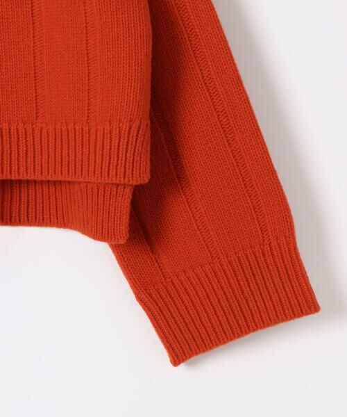 ＊＊allureville / アルアバイル ニット・セーター | ジーロンストライプミドリフプルオーバー | 詳細26