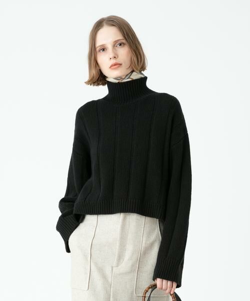 ＊＊allureville / アルアバイル ニット・セーター | ジーロンストライプミドリフプルオーバー（ブラック）