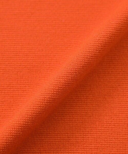 AMACA / アマカ ニット・セーター | ウールミックスミラノリブニットプルオーバー | 詳細13