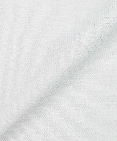 AMACA / アマカ ニット・セーター | 【接触冷感･UV対策】ドライレーヨンストレッチ ラメニットプルオーバー | 詳細8