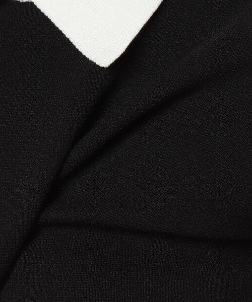 ANAYI / アナイ ニット・セーター | 【セットアップ対応商品】コットンポリエステル襟付き プルオーバー | 詳細11