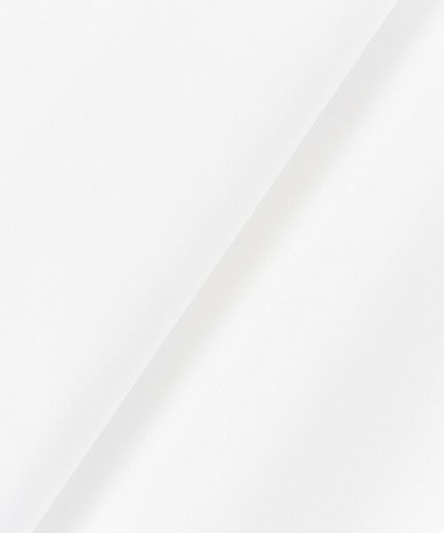 ANAYI / アナイ シャツ・ブラウス | 【Eternal Line 2024】コンパクトコットン刺繍衿 ブラウス | 詳細19