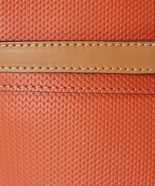 ANAYI / アナイ ショルダーバッグ | ◇配色バケットショルダーバッグ | 詳細15