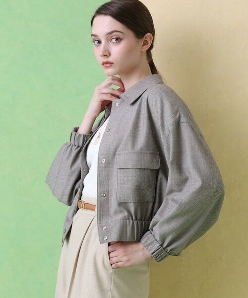 ANAYI / アナイ ブルゾン | 麻調スラブドビーステンブルゾン | 詳細4