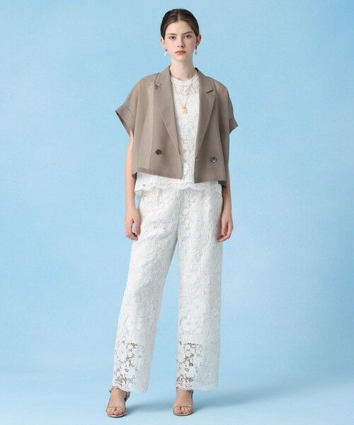 ANAYI / アナイ テーラードジャケット | シアーオーガンフレンチスリーブ ジャケット | 詳細2