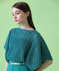 ANAYI / アナイ ニット・セーター | パピヨンシャギージャガードプルオーバー