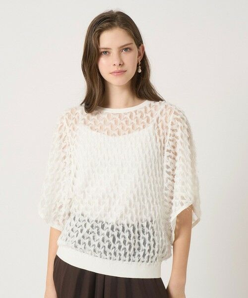 ANAYI / アナイ ニット・セーター | パピヨンシャギージャガードプルオーバー | 詳細1