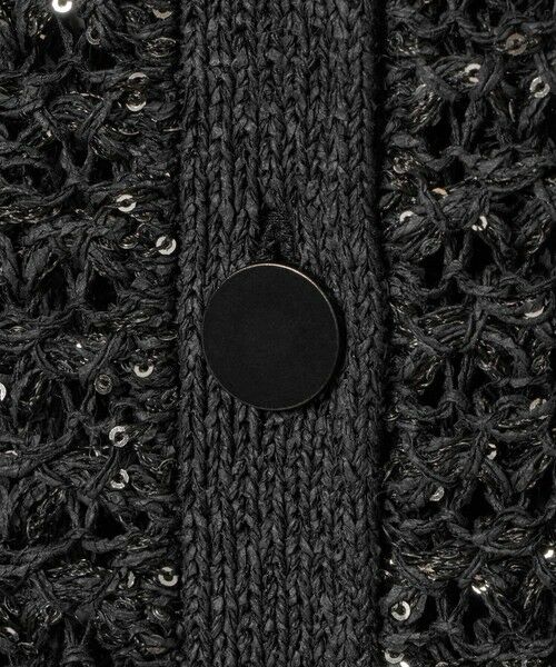 ANAYI / アナイ ニット・セーター | シークインペーパーヤーン プルオーバー | 詳細17