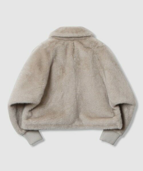 ANAYI / アナイ ブルゾン | フェイクミンクファーブルゾン | 詳細24