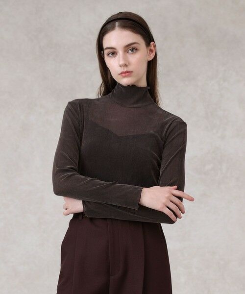 ANAYI / アナイ カットソー | チュールフロッキータートル プルオーバー(brown (81))