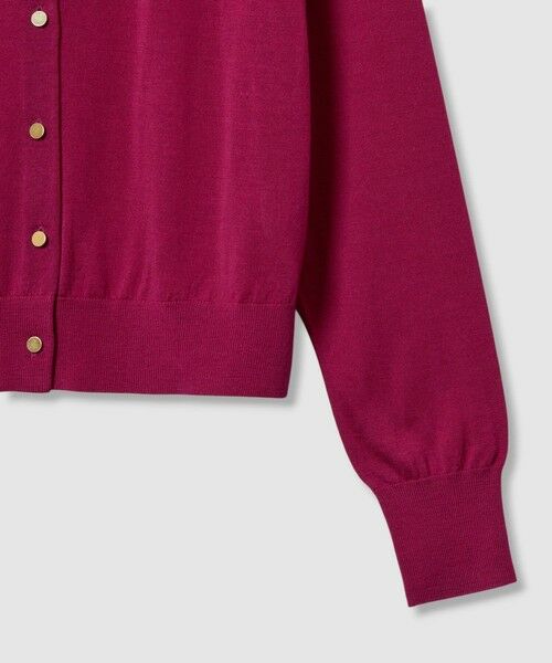 ANAYI / アナイ カーディガン・ボレロ | 【セットアップ対応商品】スーパーファインメリノクルー カーディガン | 詳細9