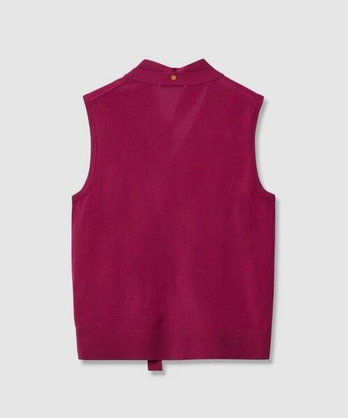 ANAYI / アナイ ニット・セーター | 【セットアップ対応商品】スーパーファインメリノタイ付きベスト | 詳細6