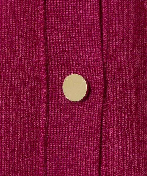 ANAYI / アナイ ニット・セーター | 【セットアップ対応商品】スーパーファインメリノタイ付きベスト | 詳細13