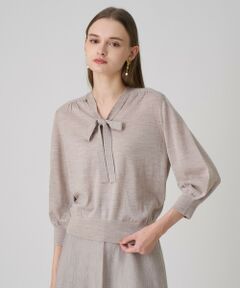 ANAYI / アナイ ニット・セーター | 【セットアップ対応商品】エキストラファインメリノタイ付きＶネック プルオーバー