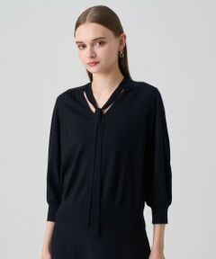 ANAYI / アナイ ニット・セーター | 【セットアップ対応商品】エキストラファインメリノタイ付きＶネック プルオーバー