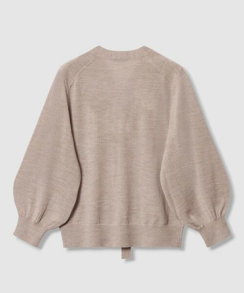 ANAYI / アナイ ニット・セーター | 【セットアップ対応商品】エキストラファインメリノタイ付きVネック プルオーバー | 詳細6