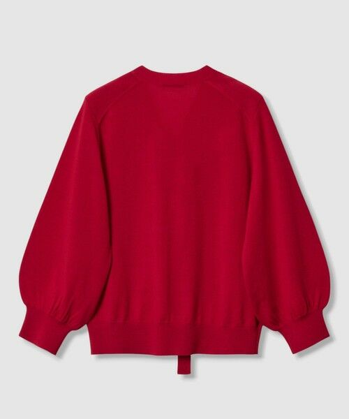 ANAYI / アナイ ニット・セーター | 【セットアップ対応商品】エキストラファインメリノタイ付きVネック プルオーバー | 詳細13