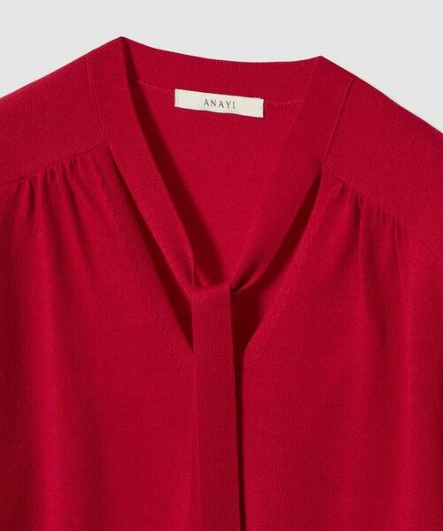 ANAYI / アナイ ニット・セーター | 【セットアップ対応商品】エキストラファインメリノタイ付きVネック プルオーバー | 詳細14