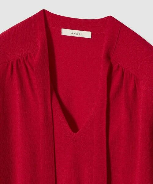 ANAYI / アナイ ニット・セーター | 【セットアップ対応商品】エキストラファインメリノタイ付きVネック プルオーバー | 詳細15