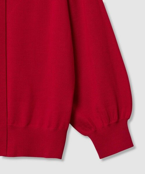 ANAYI / アナイ ニット・セーター | 【セットアップ対応商品】エキストラファインメリノタイ付きVネック プルオーバー | 詳細16