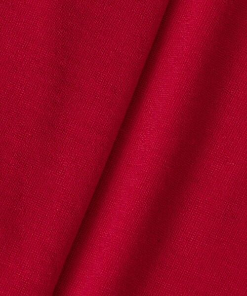 ANAYI / アナイ ニット・セーター | 【セットアップ対応商品】エキストラファインメリノタイ付きVネック プルオーバー | 詳細17