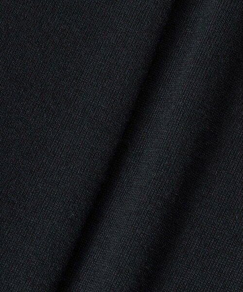 ANAYI / アナイ ニット・セーター | 【セットアップ対応商品】エキストラファインメリノタイ付きVネック プルオーバー | 詳細23