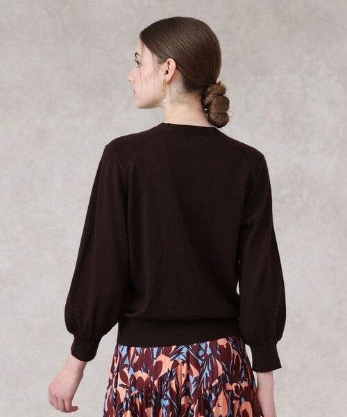 ANAYI / アナイ ニット・セーター | 【セットアップ対応商品】エキストラファインメリノタイ付きVネック プルオーバー | 詳細26