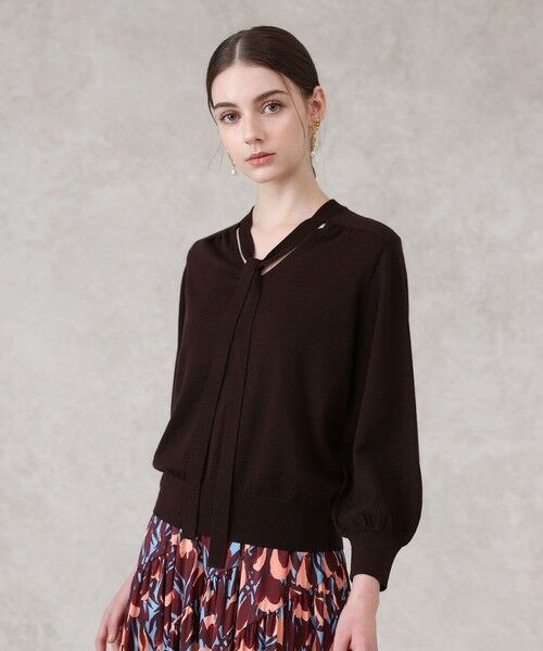 ANAYI / アナイ ニット・セーター | 【セットアップ対応商品】エキストラファインメリノタイ付きVネック プルオーバー(brown (81))