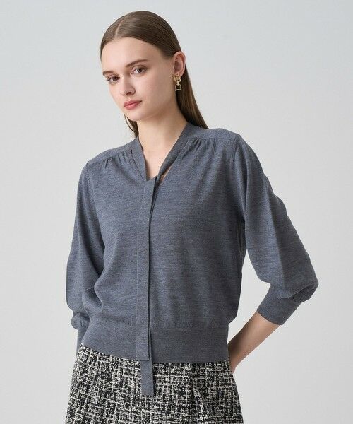 ANAYI / アナイ ニット・セーター | 【セットアップ対応商品】エキストラファインメリノタイ付きVネック プルオーバー(charcoal grey (94))