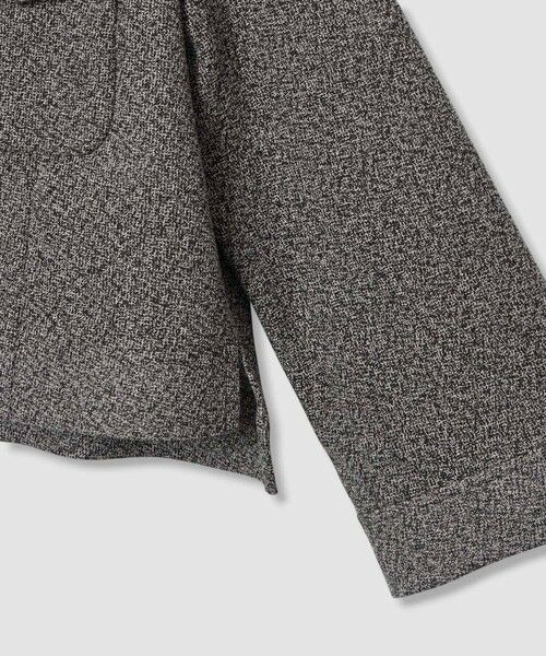 ANAYI / アナイ その他アウター | 【セットアップ対応商品】ハードカラミステンカラーブルゾン | 詳細8