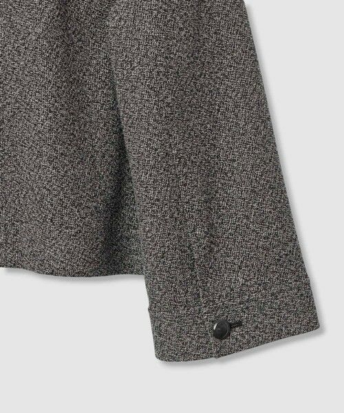 ANAYI / アナイ その他アウター | 【セットアップ対応商品】ハードカラミステンカラーブルゾン | 詳細9