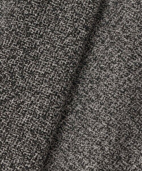 ANAYI / アナイ その他アウター | 【セットアップ対応商品】ハードカラミステンカラーブルゾン | 詳細13