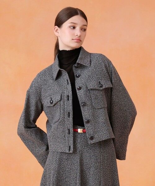 ANAYI / アナイ その他アウター | 【セットアップ対応商品】ハードカラミステンカラーブルゾン | 詳細1