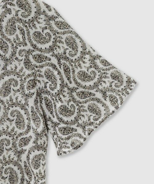 ANAYI / アナイ シャツ・ブラウス | ペイズリーシフォンフレアブラウス | 詳細14