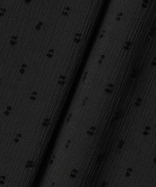 ANAYI / アナイ シャツ・ブラウス | カットドット楊柳ボウタイ ブラウス | 詳細27
