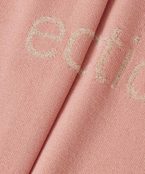 ANAYI / アナイ ニット・セーター | ECLECTIC ロゴプルオーバー | 詳細16