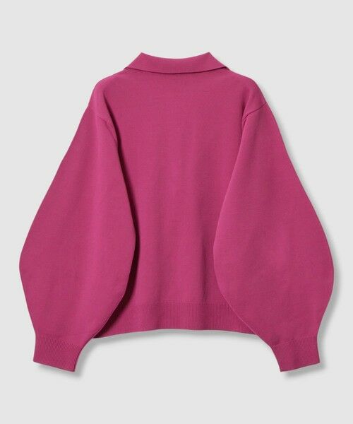 ANAYI / アナイ ポロシャツ | プレーティングポロプルオーバー | 詳細14