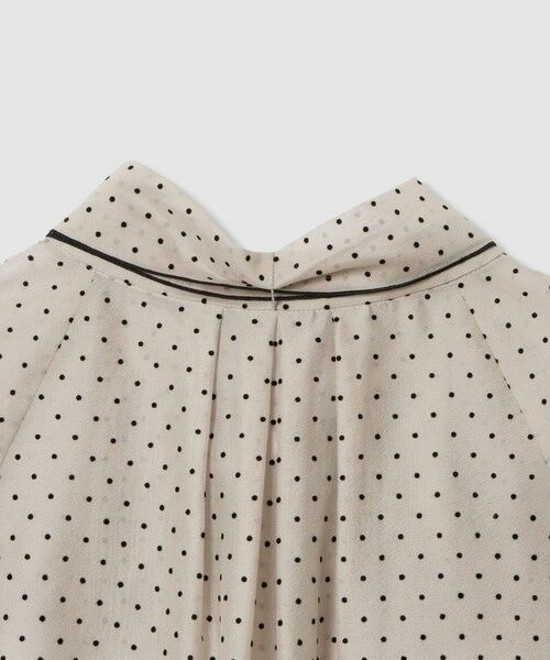 ANAYI / アナイ シャツ・ブラウス | ドットオーガンジーリボンブラウス | 詳細12