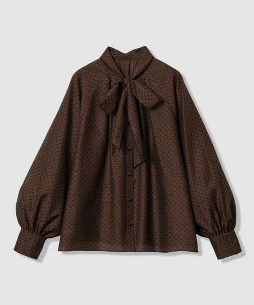 ANAYI / アナイ シャツ・ブラウス | ドットオーガンジーリボンブラウス | 詳細21