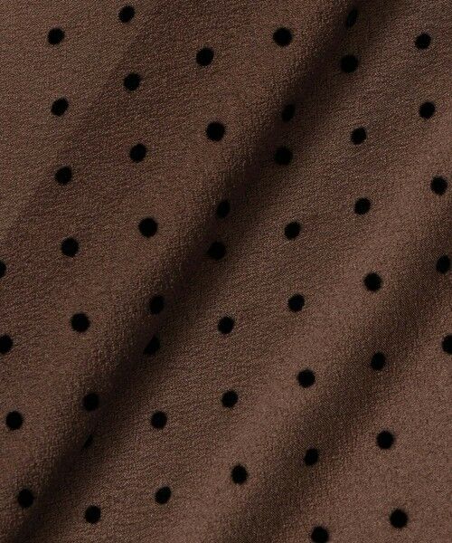 ANAYI / アナイ シャツ・ブラウス | ドットオーガンジーリボンブラウス | 詳細25