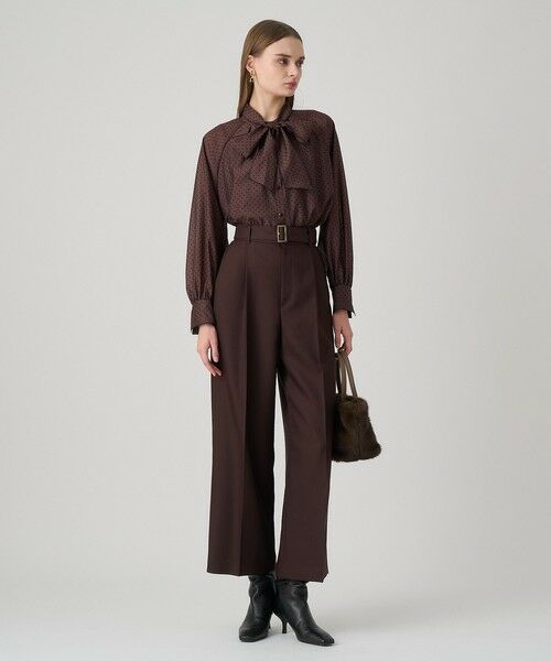 ANAYI / アナイ シャツ・ブラウス | ドットオーガンジーリボンブラウス | 詳細19