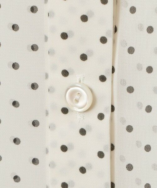 ANAYI / アナイ シャツ・ブラウス | ドットプリントシフォンノースリーブブラウス | 詳細6