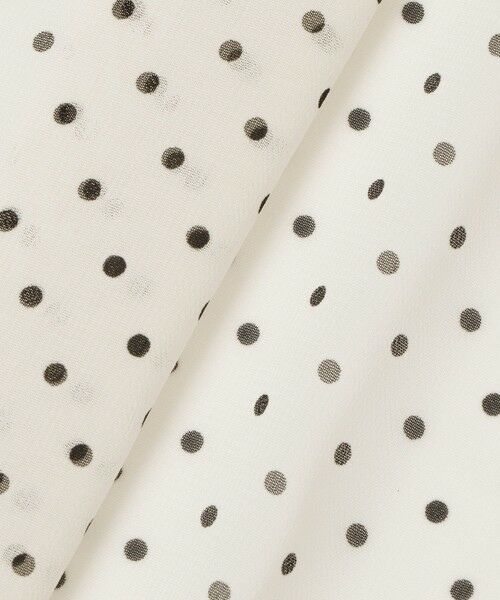 ANAYI / アナイ シャツ・ブラウス | ドットプリントシフォンノースリーブブラウス | 詳細7
