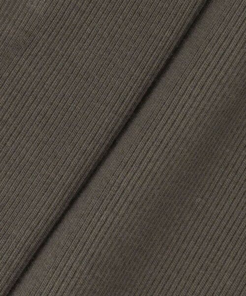 ANAYI / アナイ カットソー | コットンテレコボートネックプルオーバー | 詳細18