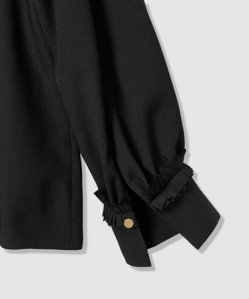 ANAYI / アナイ シャツ・ブラウス | ポリデシンプリーツディテールブラウス | 詳細27