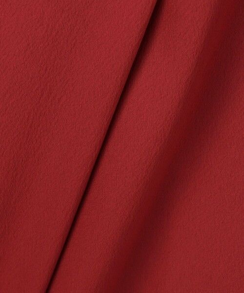 ANAYI / アナイ シャツ・ブラウス | ハンマーサテンスタンド ブラウス | 詳細30