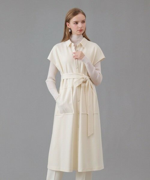 ANAYI / アナイ ミニ丈・ひざ丈ワンピース | 圧縮スムースシャツジレ ワンピース | 詳細1