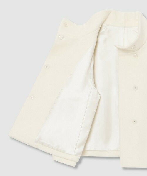 ANAYI / アナイ ピーコート | ウールビーバーショートコート | 詳細11