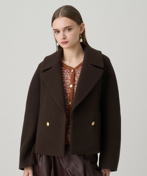ANAYI / アナイ ピーコート | シャギーリバーショートコート(brown (81))