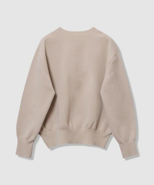 ANAYI / アナイ ニット・セーター | ボリュームショルダーVプルオーバー | 詳細1